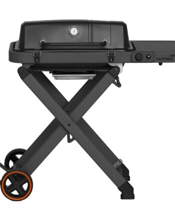 Fold Gasgrill
