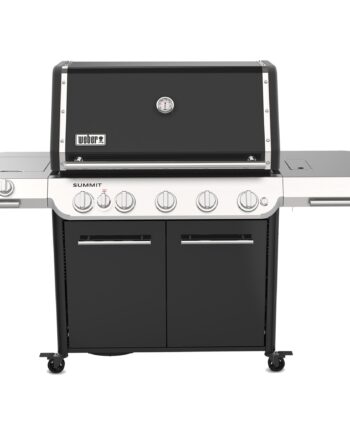 Summit   Gasgrill